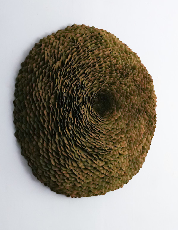 Bog by Molly Gambardella, Image 1.