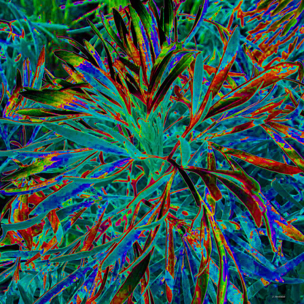 Colourful_1 by Stocksom Art Prints