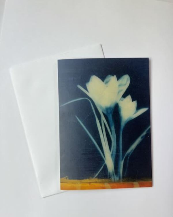 Crocus II by Michele Randall, Image 1.