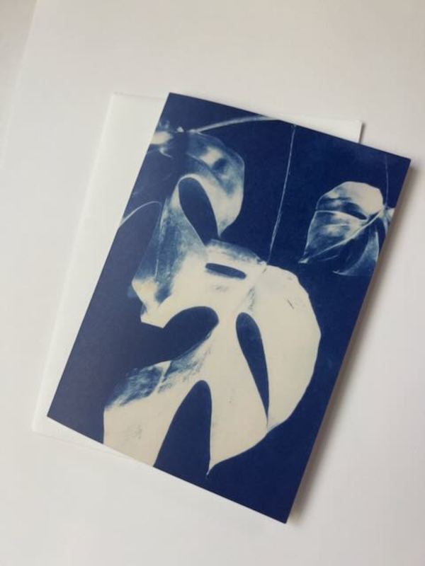 Monstera by Michele Randall, Image 1.