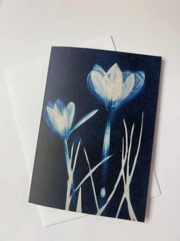 crocus by Michele Randall, Image 1.