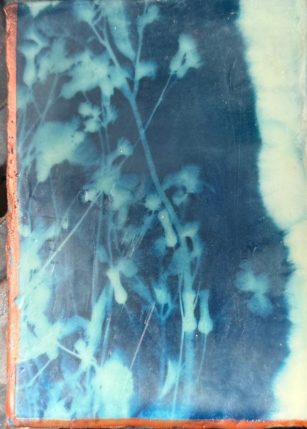 wild objects by Michele Randall