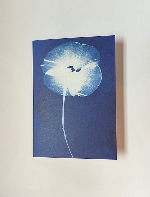 Cyanotype Note Card Poppy by Michele Randall, Image 1.