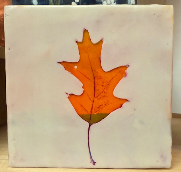 fall leaf by Michele Randall