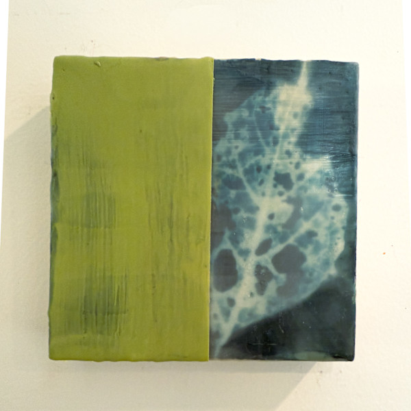 leaf skeleton by Michele Randall