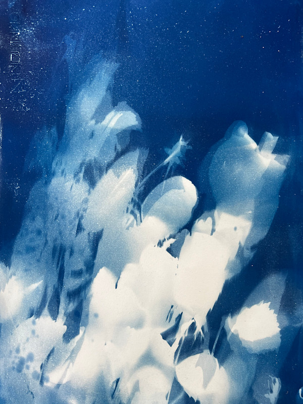 Florida Sunshine II by Michele Randall