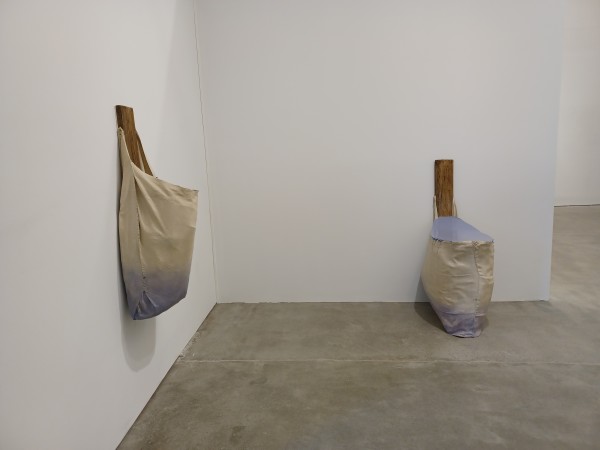 Bag Painting with Vertical Wood (grey purple gloss) installation by Howard Schwartzberg