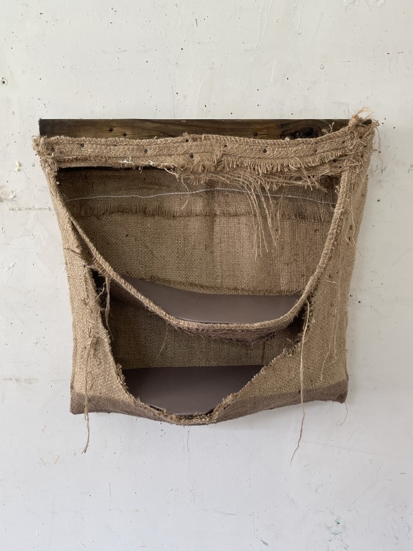 Suspended/Pouch Combo Painting (brownish mauve) by Howard Schwartzberg