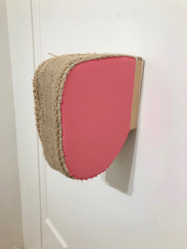 Section Painting (pink) by Howard Schwartzberg