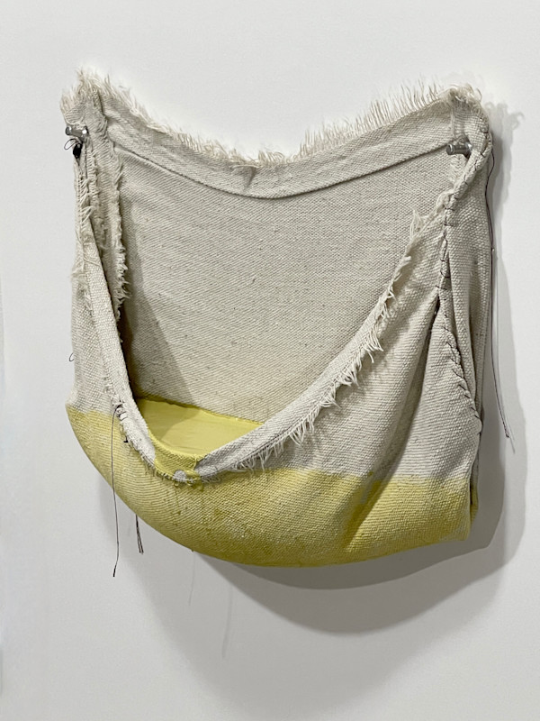 Pouch Painting  (yellow shade) by Howard Schwartzberg