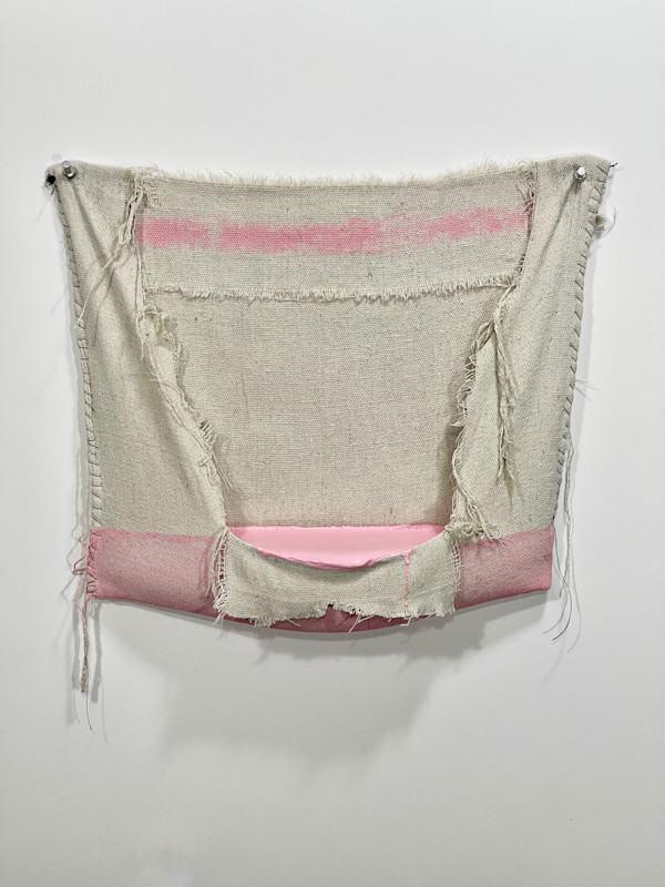 Pouch Painting  (light pink) by Howard Schwartzberg