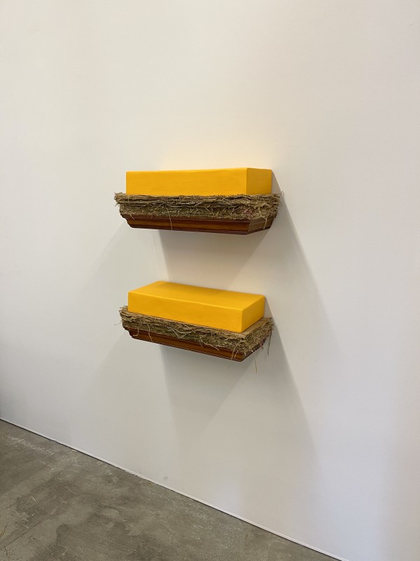 Bed Paintings for Judd (yellow above and below yellow) by Howard Schwartzberg