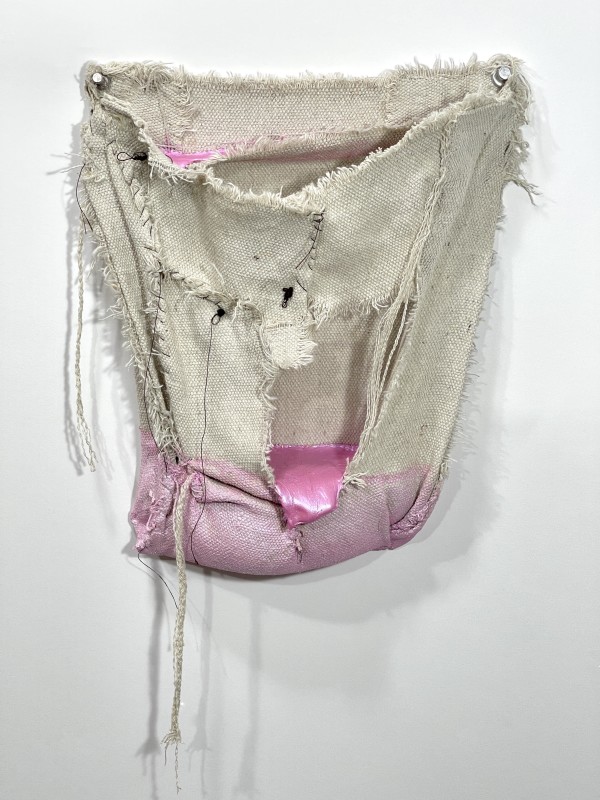 Pouch Painting (fluorescent pink) by Howard Schwartzberg