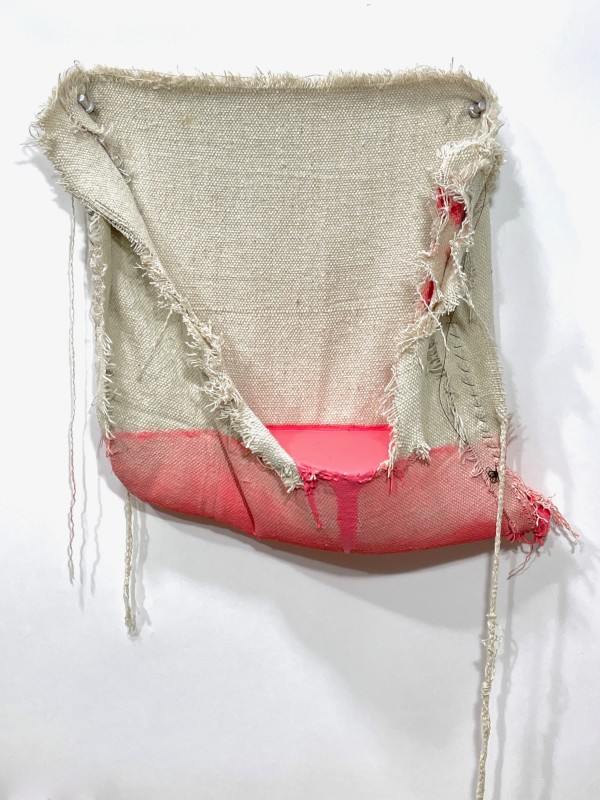 Pouch Painting (deep pink) by Howard Schwartzberg