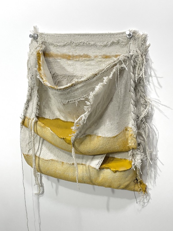 Pouch Painting (yellow oxide above yellow oxide) by Howard Schwartzberg