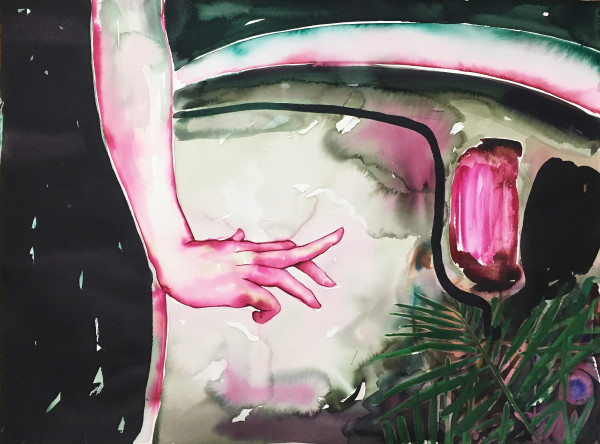 Charybdis in Hawai'i