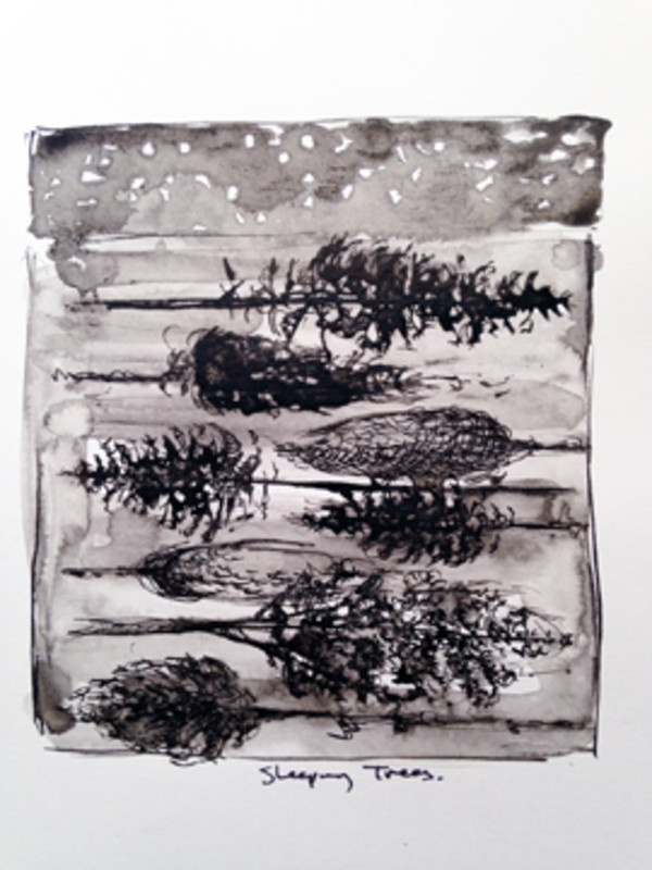 sleeping trees, Image 1.