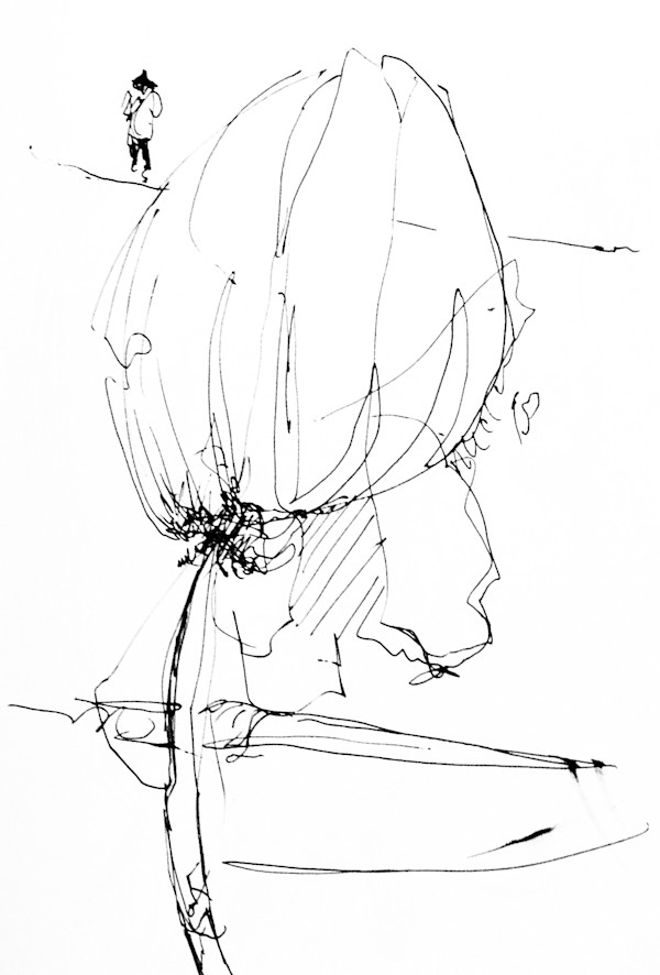 untitled, Image 1.