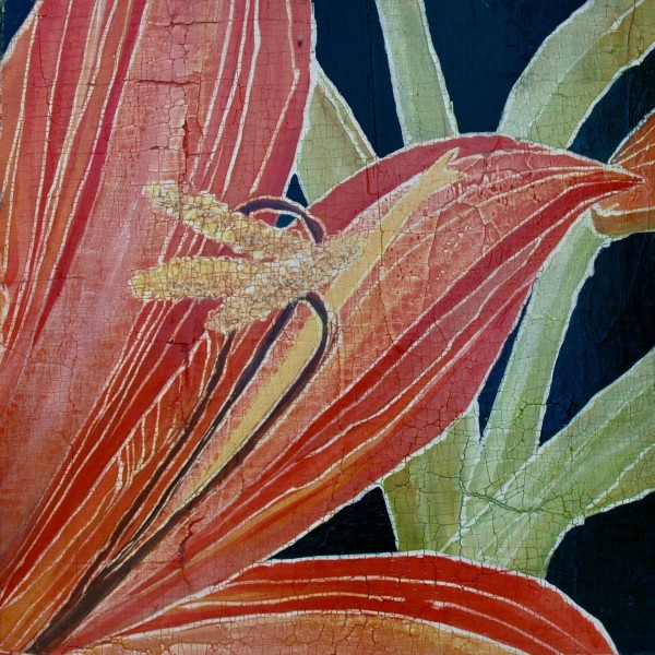 Red Amaryllis w/ stem by Roberta Ahrens