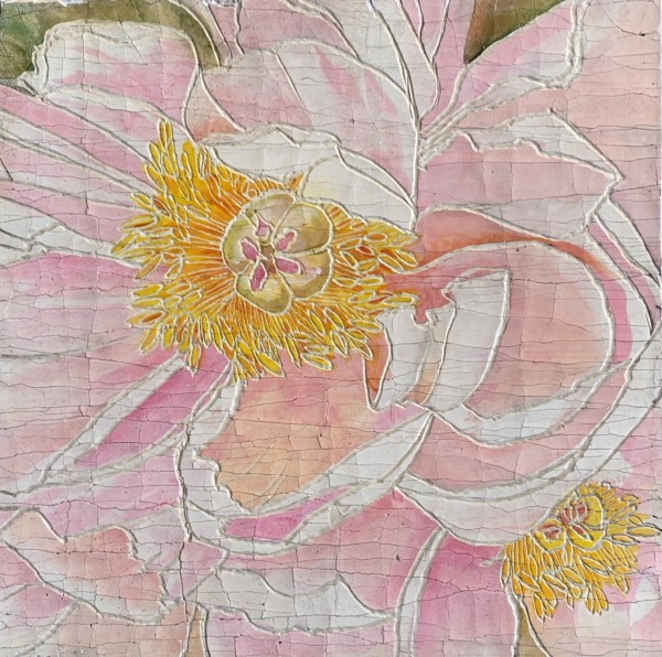 Pink Peony 4 by Roberta Ahrens