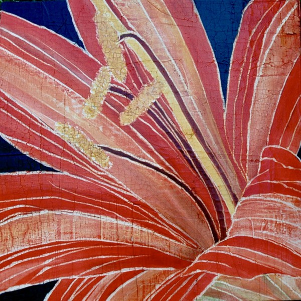 Red Amaryllis by Roberta Ahrens