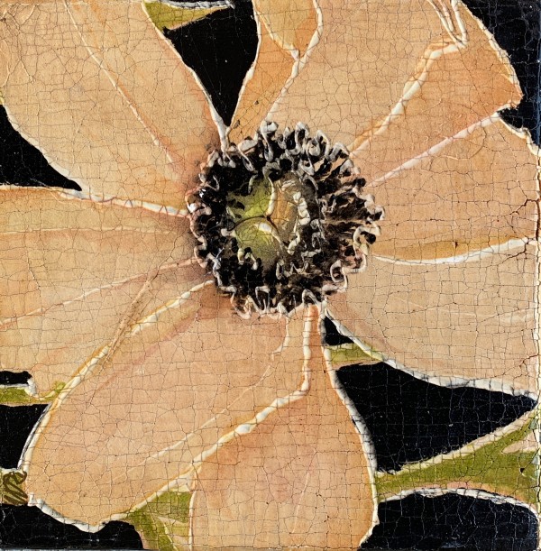 Ahrens_Salmon_Poppy_on_Black by Roberta Ahrens