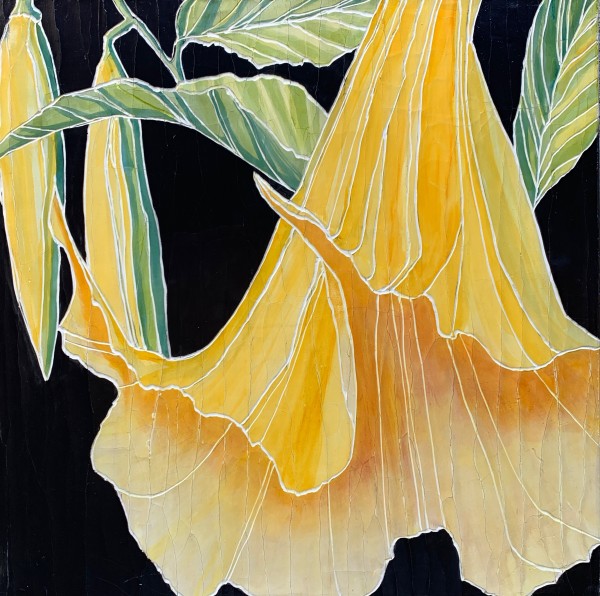 Ahrens_Yellow_Datura