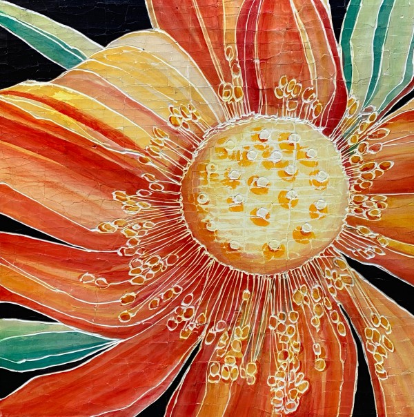 Multicolor Lotus by Roberta Ahrens