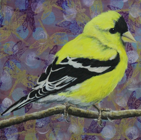 American Goldfinch by Lorelle Carr