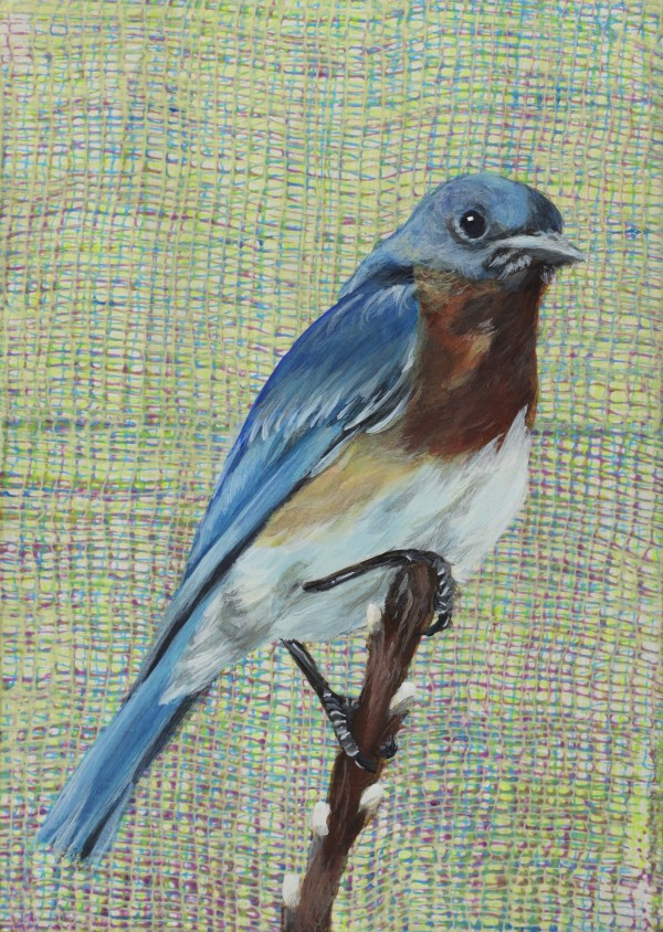 Blue Bird - 22 by Lorelle Carr