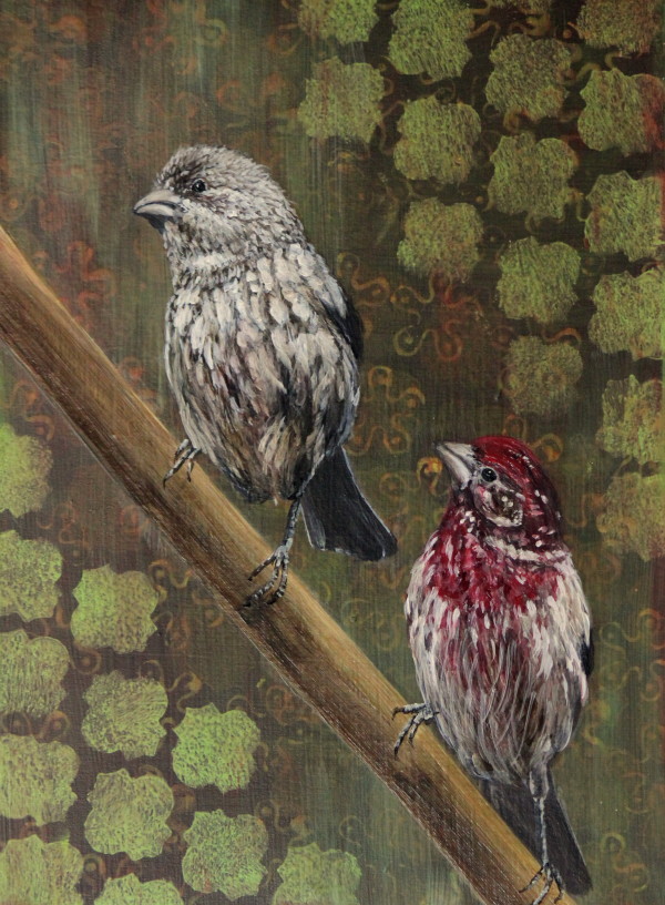 Day 10 - Purple Finches by Lorelle Carr
