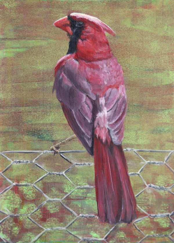 Day 19 - Cardinal by Lorelle Carr