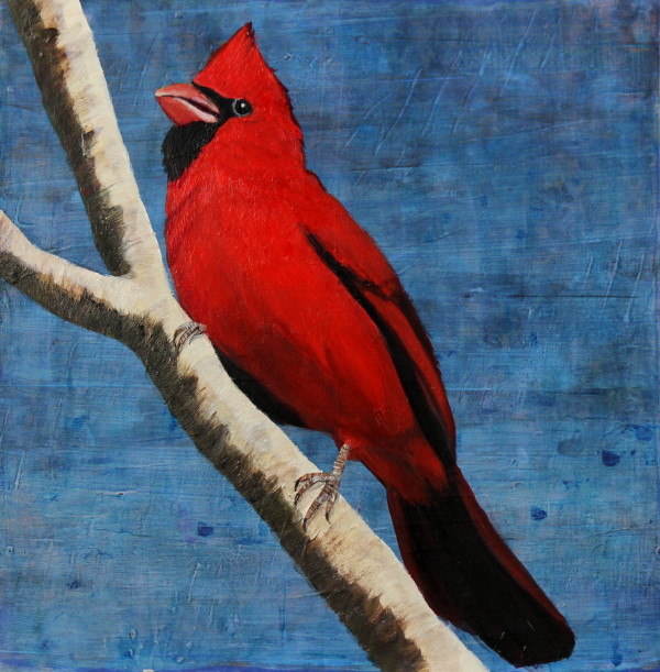 Day 32 - Cardinal by Lorelle Carr