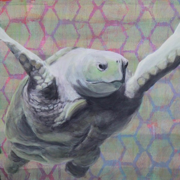 Day 33 - Sea Turtle by Lorelle Carr