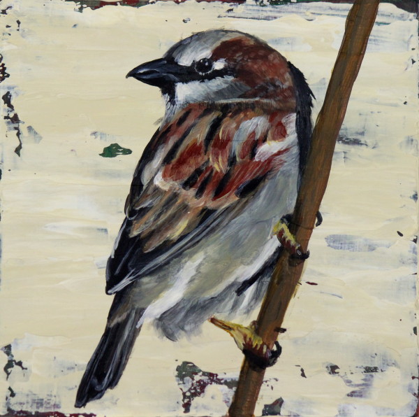 Day 36 - Sparrow by Lorelle Carr