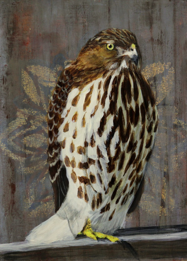 Day 38 - Red-Tailed Hawk by Lorelle Carr