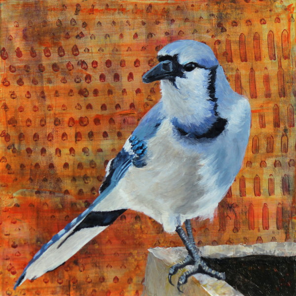 Day 3 - Blue Jay by Lorelle Carr