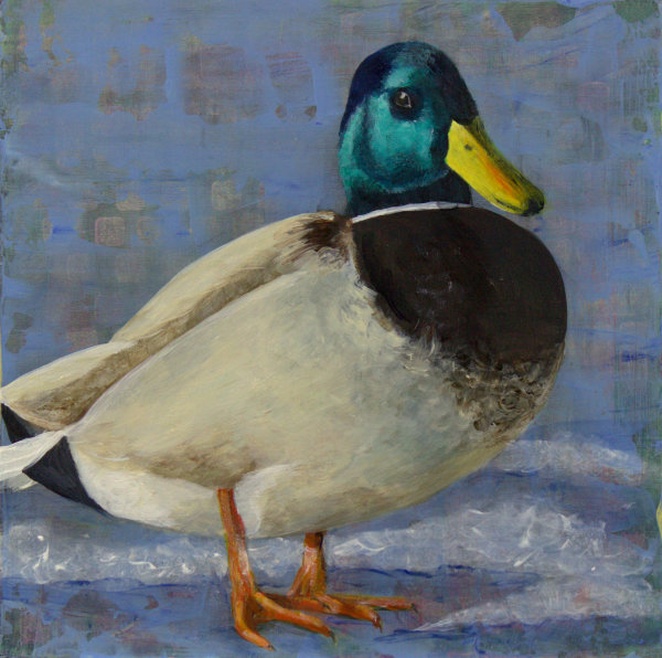 Day  40 - Mallard Duck by Lorelle Carr