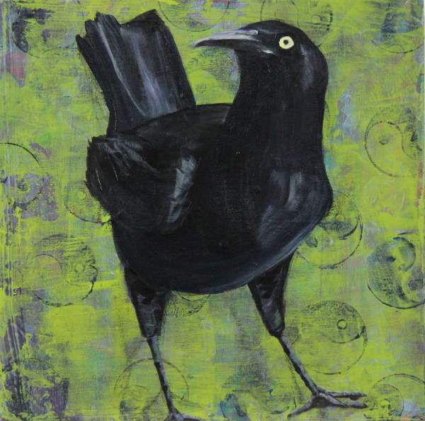 Day 43 - Great-Tailed Grackle by Lorelle Carr