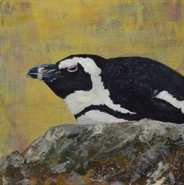 Day 49 - African Penguin by Lorelle Carr
