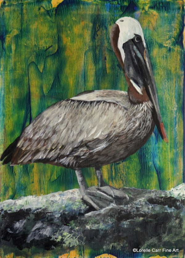 Day 69 - Brown Pelican by Lorelle Carr