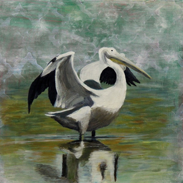 Day 8 - White Pelican by Lorelle Carr