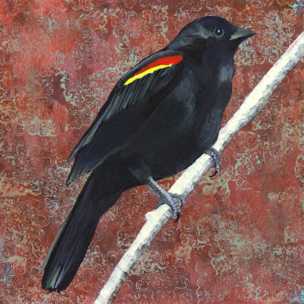 Day 90 - Red-Winged Blackbird by Lorelle Carr