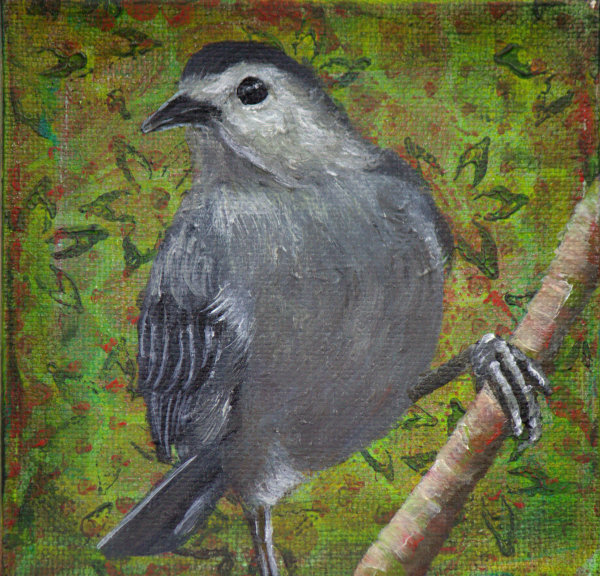 Grey Cat Bird #3 by Lorelle Carr