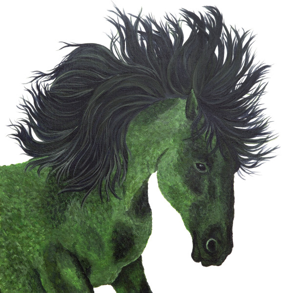 Green Horse by Lorelle Carr