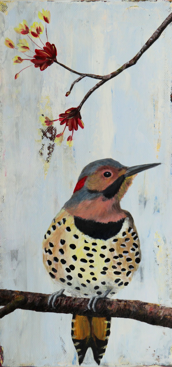 Northern Flicker #2 by Lorelle Carr