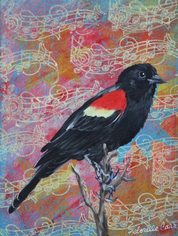 Redwinged Black Bird by Lorelle Carr