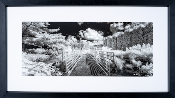 Childrens Garden Panoramic by Charles Bonham