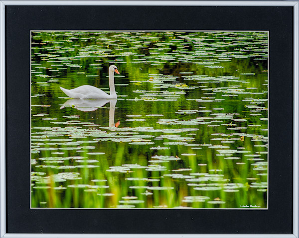 Swan-CNC by Charles Bonham