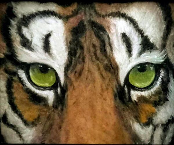 Tiger Eyes by Annette Israel